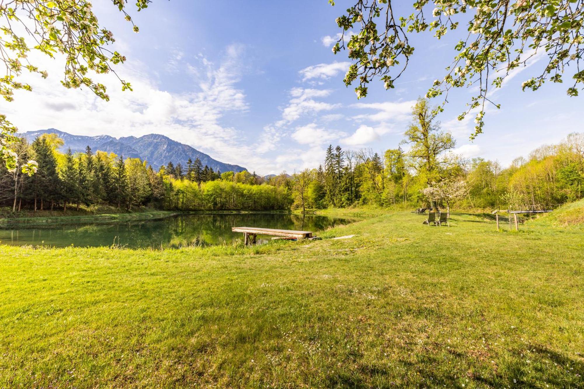 Ferienwohnungen Am Gablerhof 巴特莱辛哈尔 外观 照片