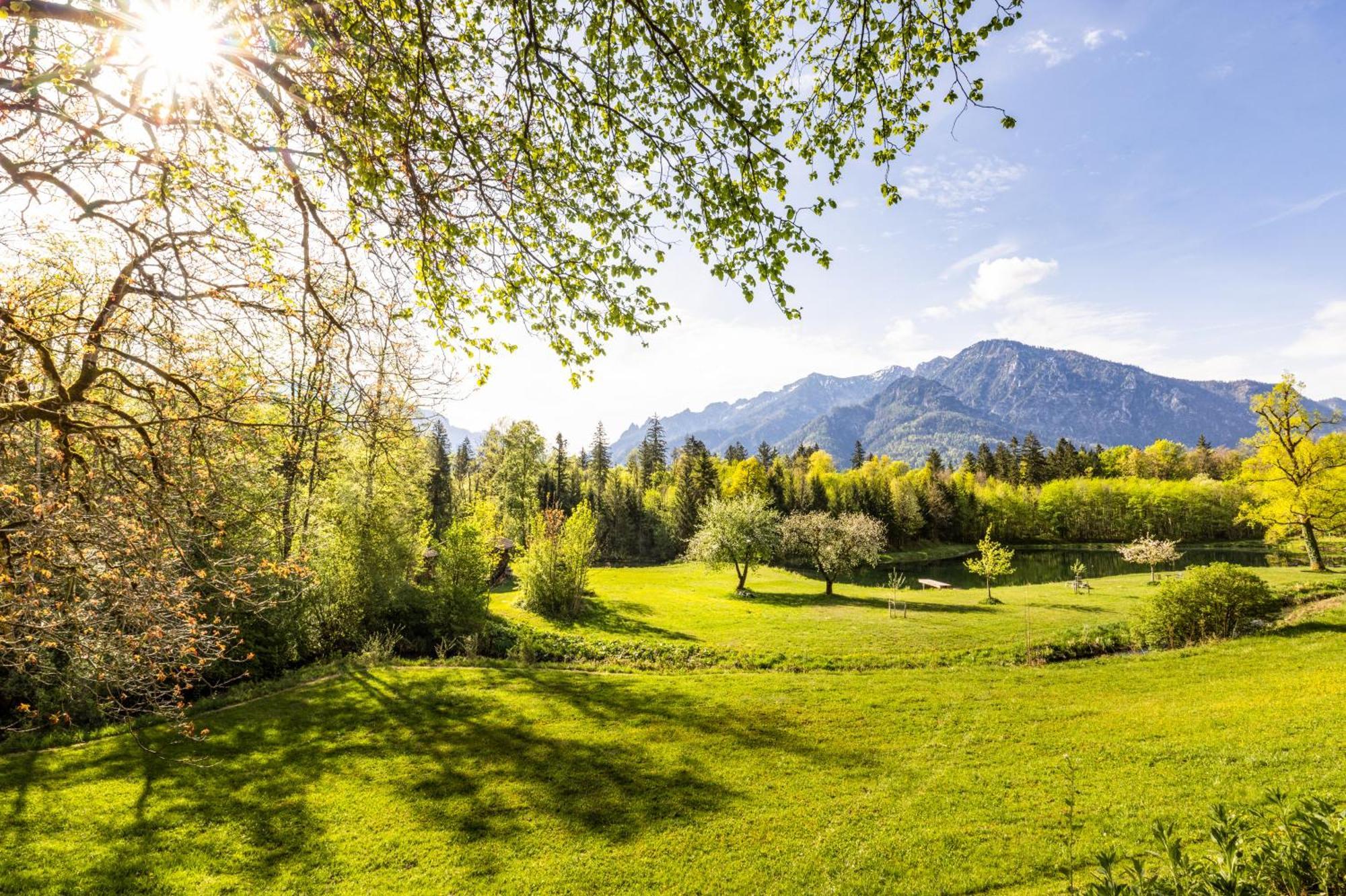 Ferienwohnungen Am Gablerhof 巴特莱辛哈尔 外观 照片
