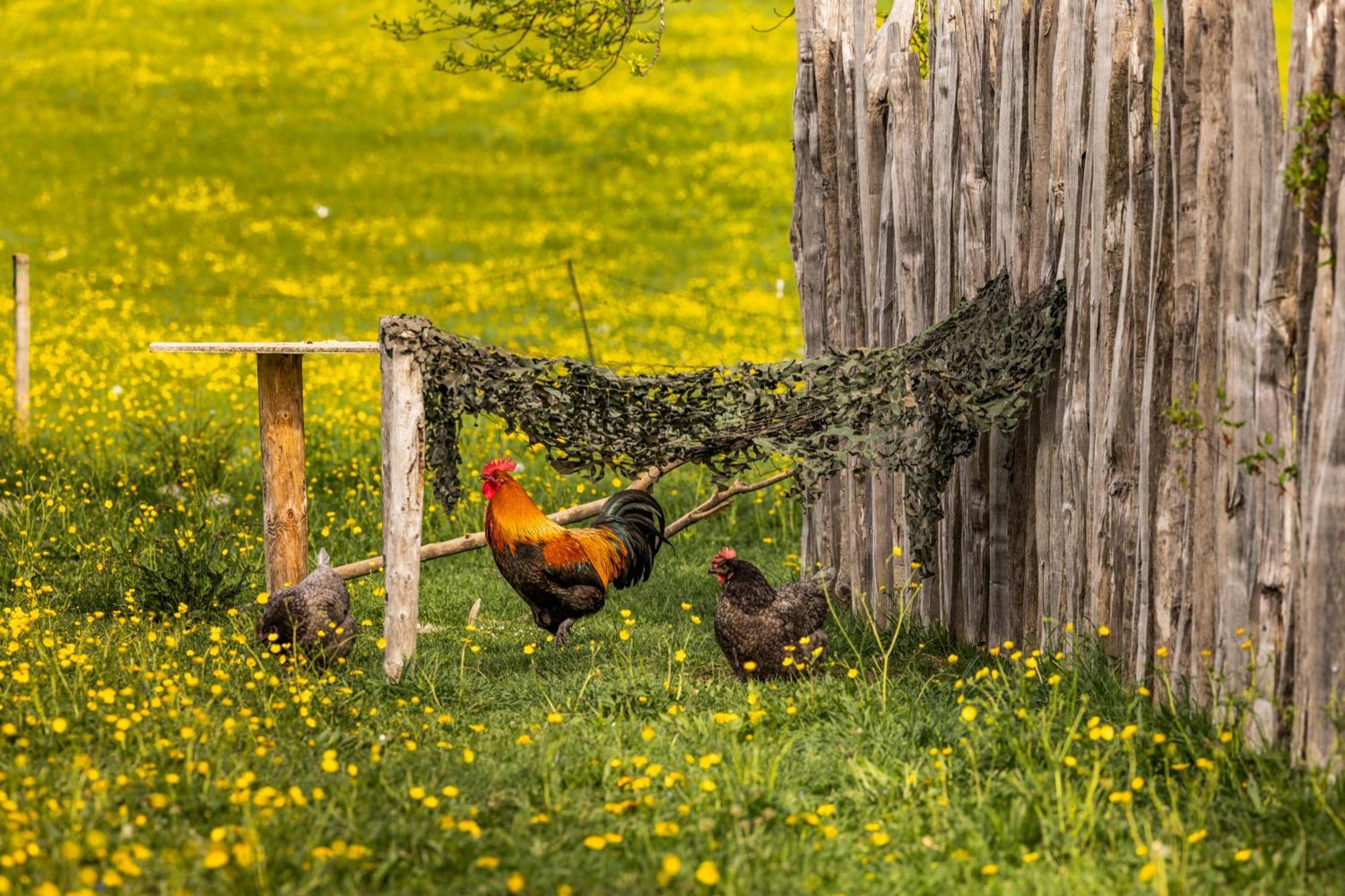 Ferienwohnungen Am Gablerhof 巴特莱辛哈尔 外观 照片