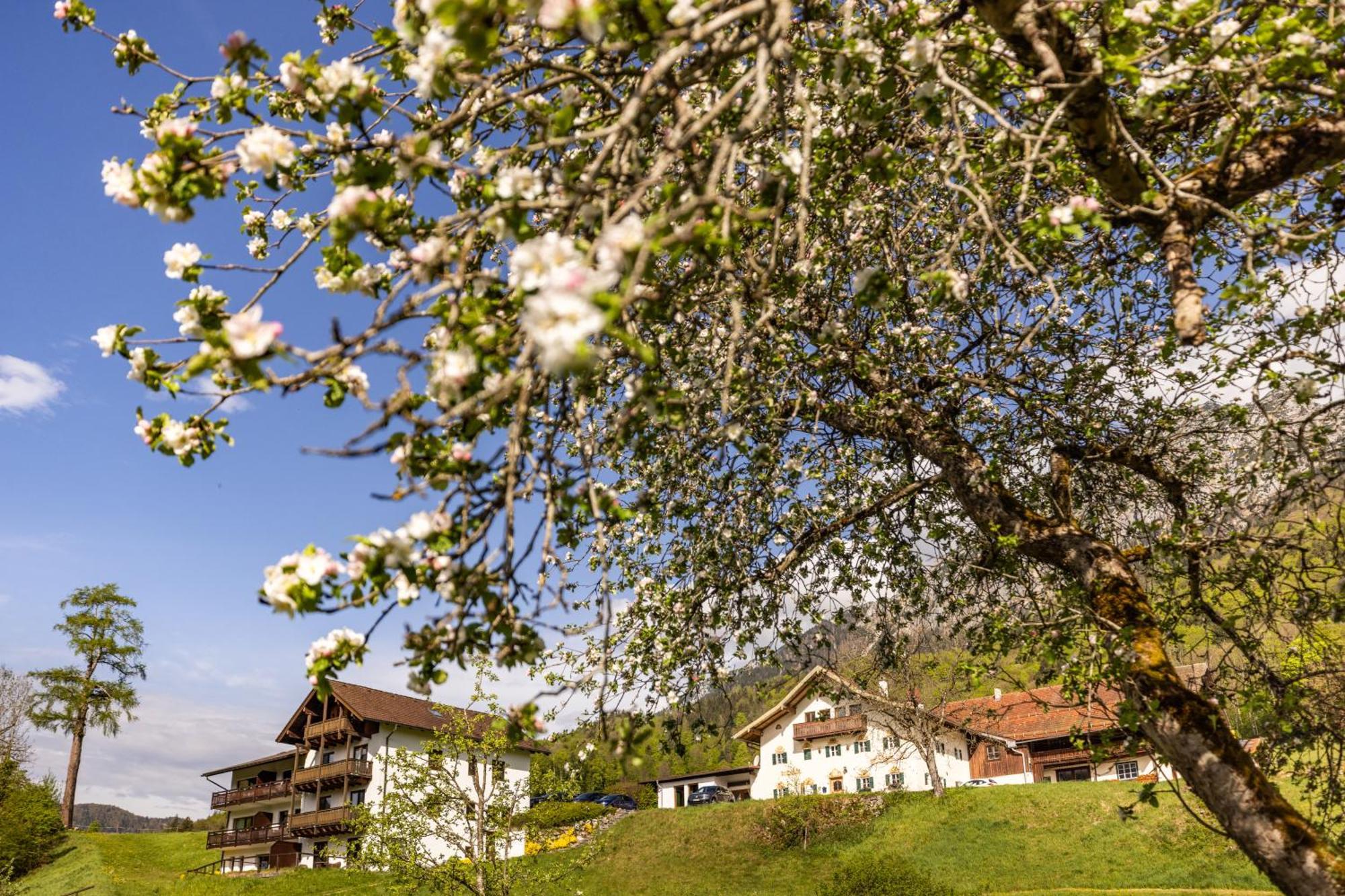 Ferienwohnungen Am Gablerhof 巴特莱辛哈尔 外观 照片