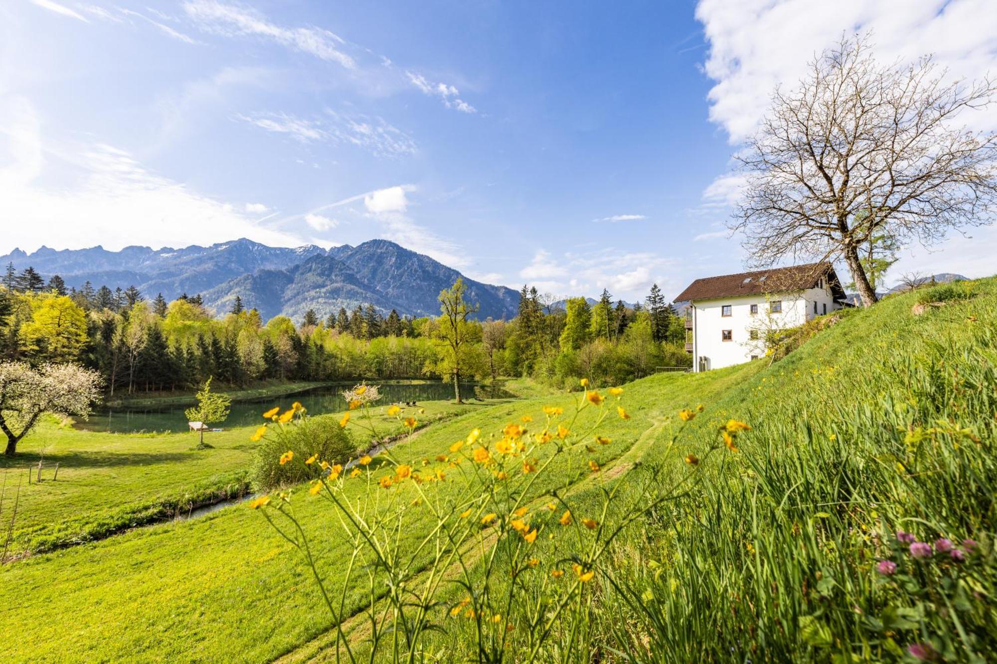 Ferienwohnungen Am Gablerhof 巴特莱辛哈尔 外观 照片